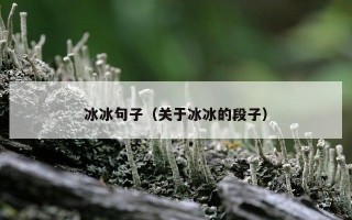 冰冰句子（关于冰冰的段子）