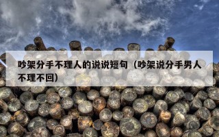吵架分手不理人的说说短句（吵架说分手男人不理不回）