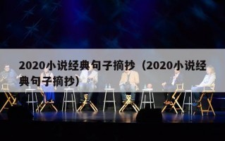 2020小说经典句子摘抄（2020小说经典句子摘抄）