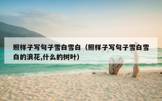 照样子写句子雪白雪白（照样子写句子雪白雪白的浪花,什么的树叶）