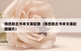 情感励志书单文案配图（情感励志书单文案配图图片）