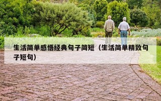 生活简单感悟经典句子简短（生活简单精致句子短句）