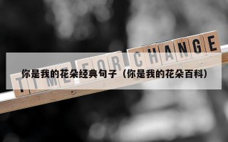 你是我的花朵经典句子（你是我的花朵百科）