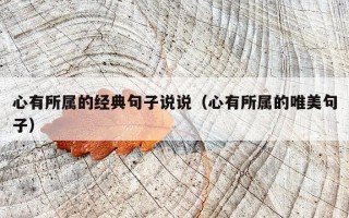 心有所属的经典句子说说（心有所属的唯美句子）