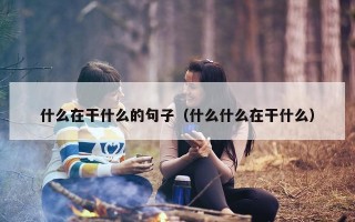 什么在干什么的句子（什么什么在干什么）