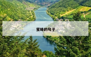 蜜蜂的句子 蜜蜂的句子