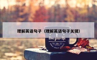 理解英语句子（理解英语句子关键）