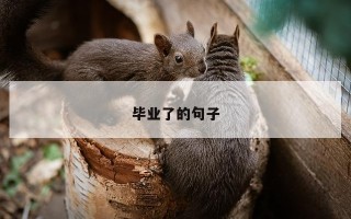 毕业了的句子