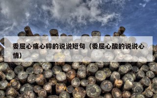 委屈心痛心碎的说说短句（委屈心酸的说说心情）