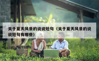 关于夏天风景的说说短句（关于夏天风景的说说短句有哪些）