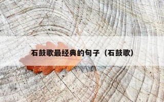 石鼓歌最经典的句子（石鼓歌）