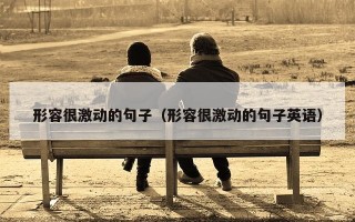 形容很激动的句子（形容很激动的句子英语）