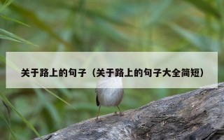 关于路上的句子（关于路上的句子大全简短）