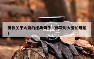 佛教关于大爱的经典句子（佛教对大爱的理解）