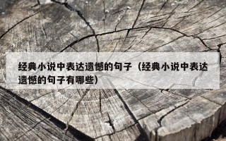 经典小说中表达遗憾的句子（经典小说中表达遗憾的句子有哪些）