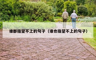 谁都指望不上的句子（谁也指望不上的句子）