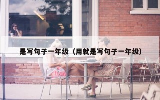 是写句子一年级（用就是写句子一年级）