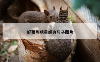 好莱坞明星经典句子图片