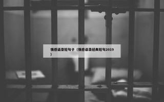 情感语录短句子（情感语录经典短句2019）