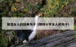 聊湿女人的经典句子（聊四十岁女人的句子）