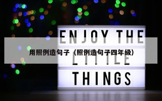 用照例造句子（照例造句子四年级）
