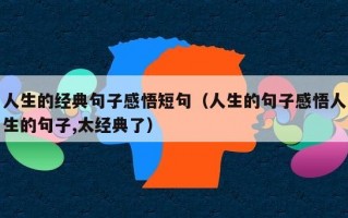 人生的经典句子感悟短句（人生的句子感悟人生的句子,太经典了）