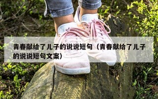 青春献给了儿子的说说短句（青春献给了儿子的说说短句文案）