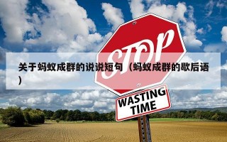关于蚂蚁成群的说说短句（蚂蚁成群的歇后语）