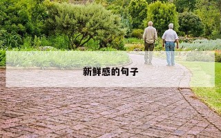 新鲜感的句子