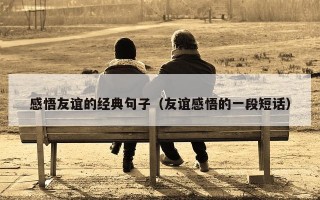 感悟友谊的经典句子（友谊感悟的一段短话）