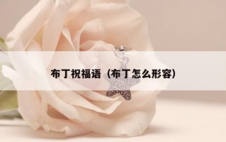 布丁祝福语（布丁怎么形容）