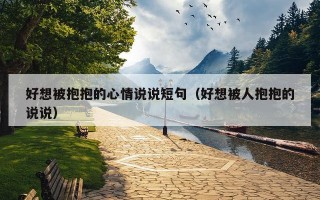 好想被抱抱的心情说说短句（好想被人抱抱的说说）