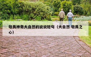 敬畏神奇大自然的说说短句（大自然 敬畏之心）