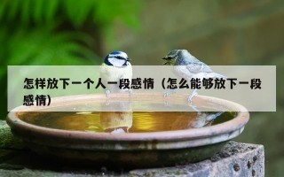 怎样放下一个人一段感情（怎么能够放下一段感情）