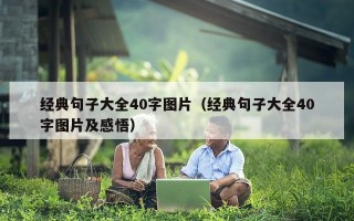 经典句子大全40字图片（经典句子大全40字图片及感悟）