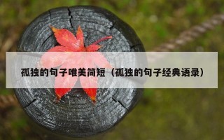 孤独的句子唯美简短（孤独的句子经典语录）