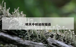 明天中秋说祝福语