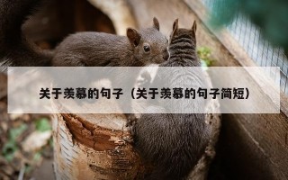 关于羡慕的句子（关于羡慕的句子简短）