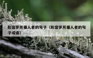 形容岁月催人老的句子（形容岁月催人老的句子成语）