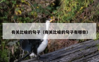 有关比喻的句子（有关比喻的句子有哪些）