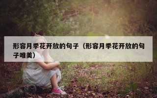 形容月季花开放的句子（形容月季花开放的句子唯美）