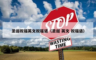 圣诞祝福英文祝福语（圣诞 英文 祝福语）