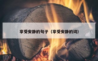 享受安静的句子（享受安静的词）