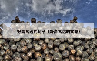 好高骛远的句子（好高骛远的文案）