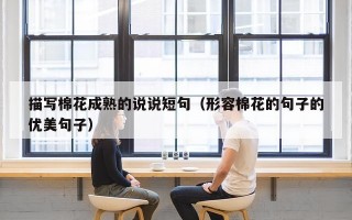 描写棉花成熟的说说短句（形容棉花的句子的优美句子）
