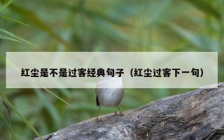 红尘是不是过客经典句子（红尘过客下一句）