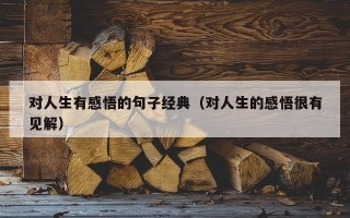 对人生有感悟的句子经典（对人生的感悟很有见解）