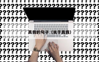 真我的句子（关于真我）