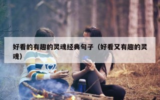 好看的有趣的灵魂经典句子（好看又有趣的灵魂）