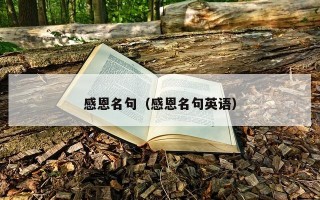 感恩名句（感恩名句英语）